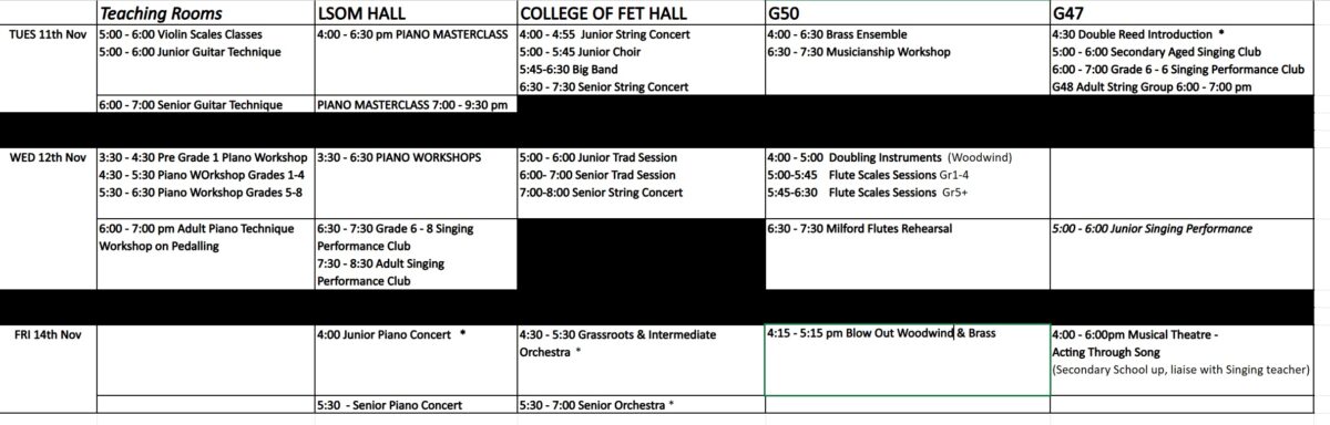 Pic for LSOM Website